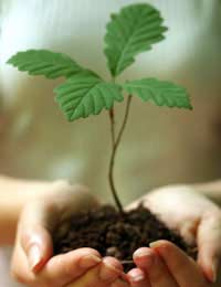 Green Living green Life eco-friendly